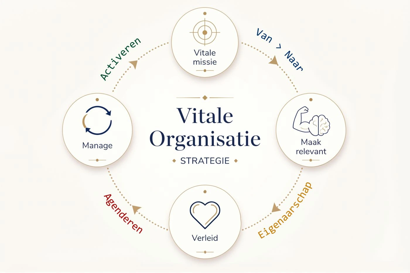 Infographic: de vitale organisatie als strategie